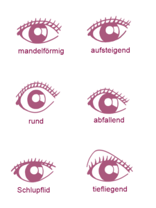 Augen Schminken Augen Make Up Fur Alle Augenformen