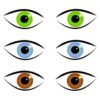 Komplementärfarben für blaue, braune und grüne Augen | Passende Lidschattenfarben zur Augenfarbe
