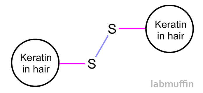 keratindisulfide