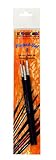 Eulenspiegel Profi Pinsel Set