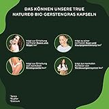 Bio Gerstengras Kapseln TRUE NATURE®